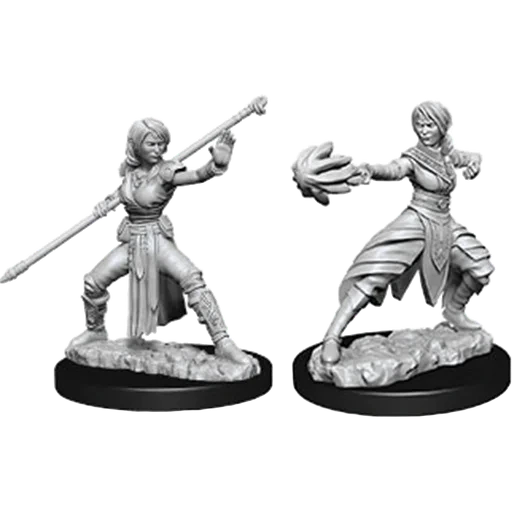 Caja del juego D&D Nolzur's Miniatures: W10 Female Half-Elf Monk