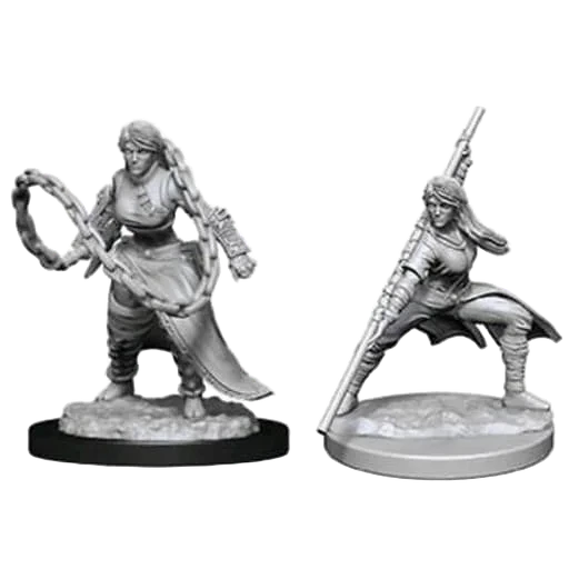 Caja del juego D&D Nolzur's Miniatures: Human Monk