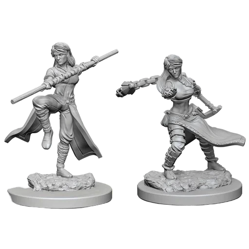 Caja del juego D&D Nolzur's Miniatures: W1 Human Female Monk