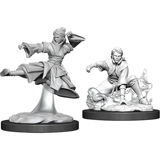 Caja del juego D&D Nolzur's Miniatures: W11 Female Human Monk