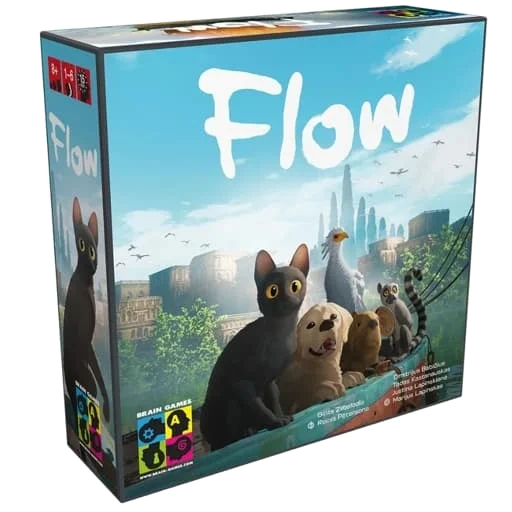 Caja del juego Flow