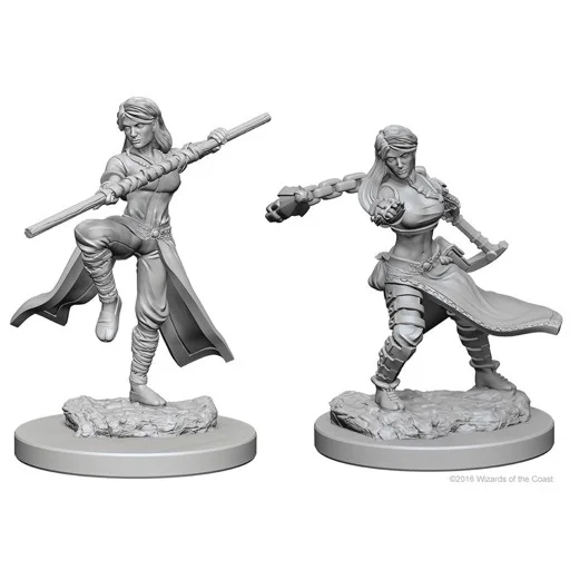 Caja del juego D&D Nolzur's Miniatures: W1 Human Female Monk