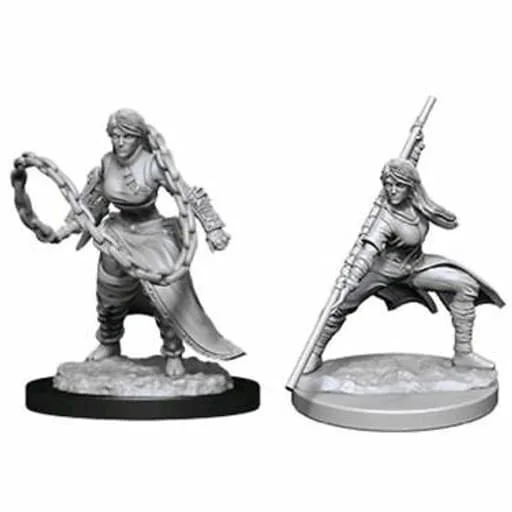 Caja del juego D&D Nolzur's Miniatures: Human Monk