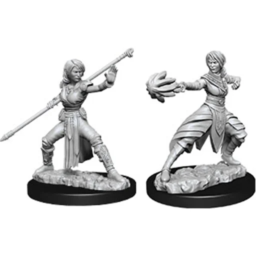 Caja del juego D&D Nolzur's Miniatures: W10 Female Half-Elf Monk