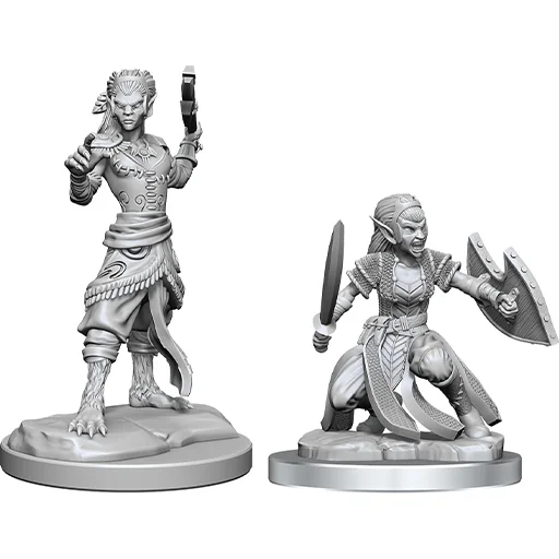 Caja del juego D&D Nolzur's Miniatures: W20 Shifter Fighter