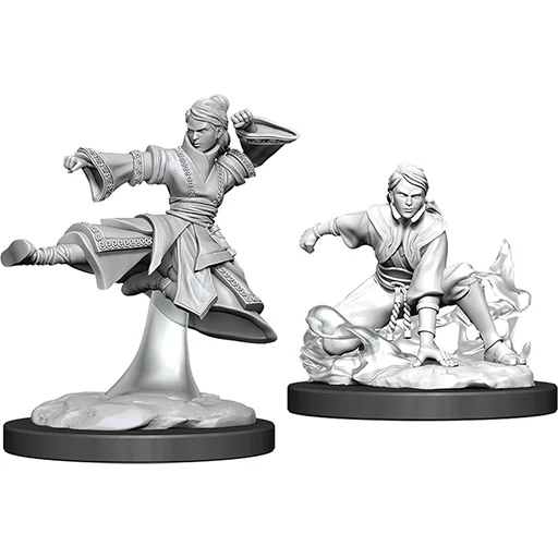 Caja del juego D&D Nolzur's Miniatures: W11 Female Human Monk