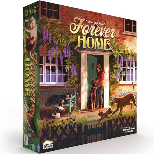 Caja del juego Forever Home
