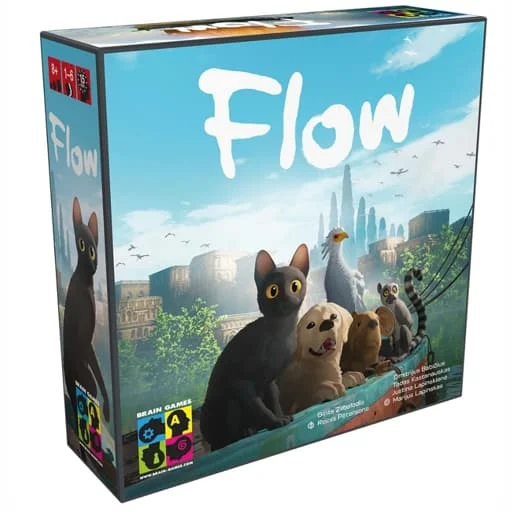 Caja del juego Flow